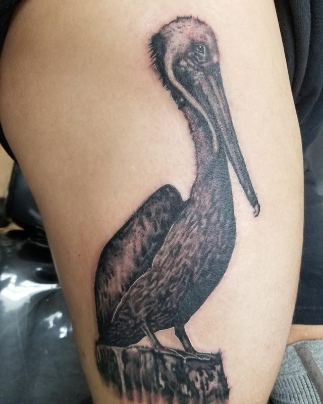 Finished up the pelican This  Salt of the Earth Tattoo  Facebook