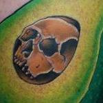 Tattoos - Skullvacado - 140325