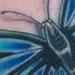 Tattoos - Butterfly - 76730