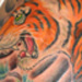 Tattoos - Turning Tiger - 15114