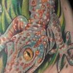 Tattoos - tokay gecko - 103566