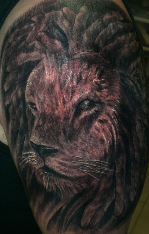 lion tattoo  Tattoo by KD Third eye tattoo  Third Eye Tattoo Studio  India  Flickr