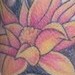 Tattoos - Asian inspired half sleeve - 49088