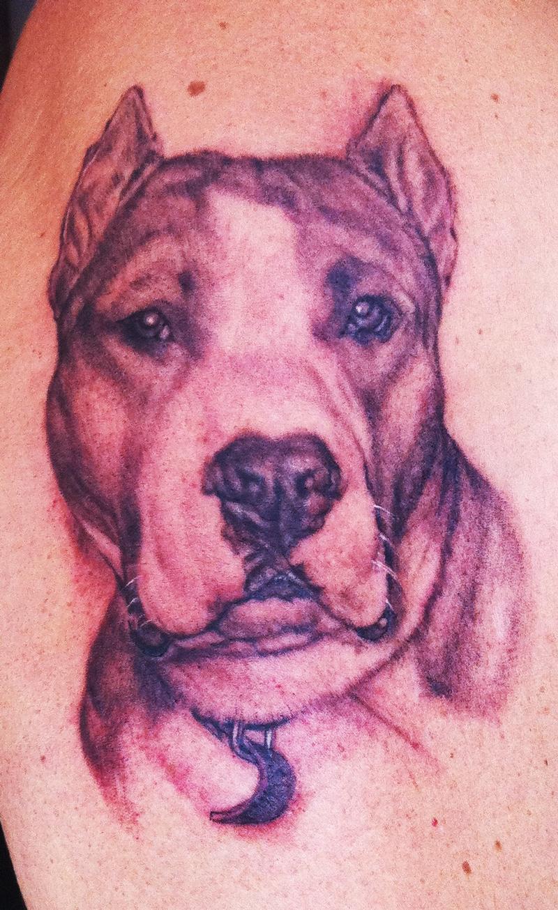 Pitbull Portrait Tattoo by Ethan Morgan: TattooNOW