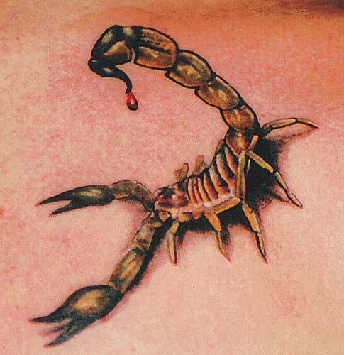 Tattoos - scorpion - 26901