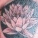 Tattoos - Black and gray skull - 49555