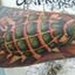 Tattoos - Grenade Tattoo - 35958