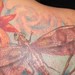 Tattoos - dragon fly and flowers - 34228