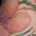 Tattoos - flowers - 34235