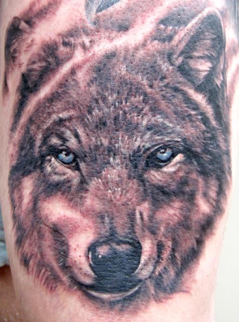 Wolf Portrait by Matthew Lukesh: TattooNOW
