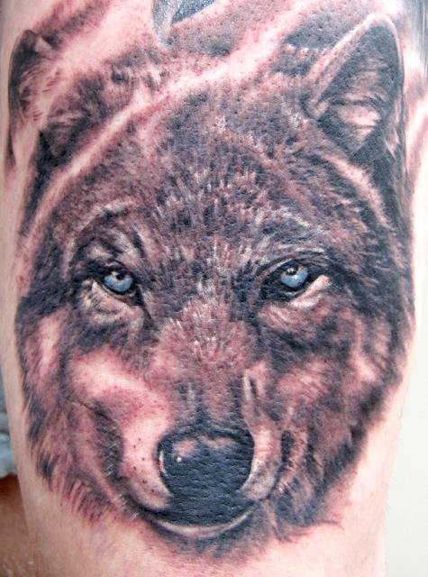 Wolf Portrait by Matthew Lukesh: TattooNOW Wolf Portrait by Matthew Lukesh: TattooNOW