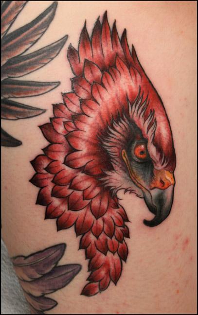 215 Hawk Tattoos Ideas and Designs 2023  TattoosBoyGirl