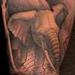 Tattoos - Elephant Locomotion - 77208