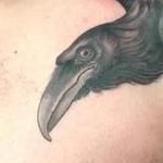 Tattoos - Raven Tattoo - 141466