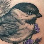 Tattoos - Chickadee - 122766