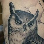 Tattoos - Black and Grey Owl cover up - 122763