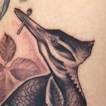Tattoos - Woodpecker - 109276