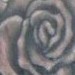 Tattoos - Skull Flowergun tattoo - 51765