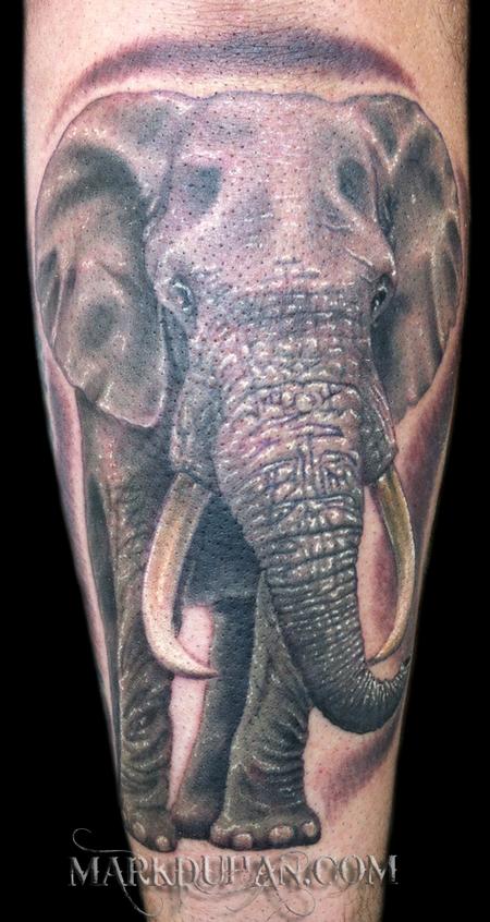 Tattoos - ELEPHANT - 62554