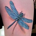 Tattoos - DRAGONFLY - 100935