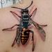 Tattoos - WASP - 86853