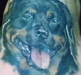 Tattoos - dog portraits by dan plumley - 18255