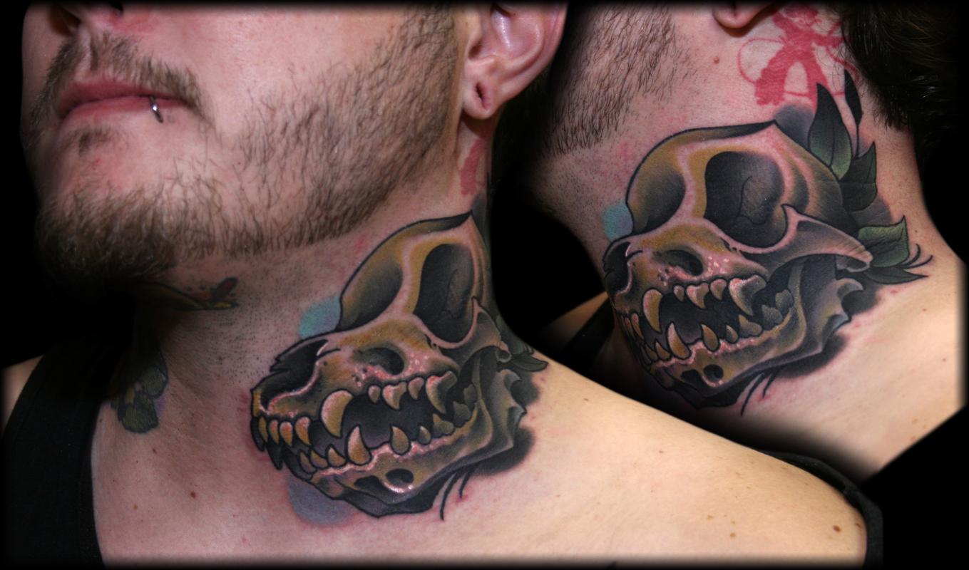 yorkie skull
