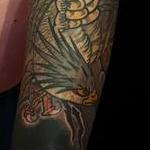 Tattoos - Helmuth matching hawk and tiger sleeve tattoos - 128953