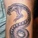 Tattoos - Serpent Tattoo - 62848