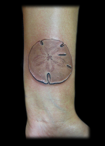 Sand dollar by Annie Mess: TattooNOW