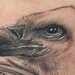 Tattoos - condor portrait - 51889