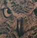 Tattoos - Owl Tattoo - 22684