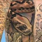 Tattoos - Damon Conklin Desert Rattle Snake - 131215