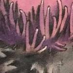 Tattoos - Damon Conklin Thistle - 131241