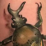 Tattoos - Beetle Tattoo - 140639