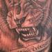 Tattoos - black and gray lion of judah - 53478