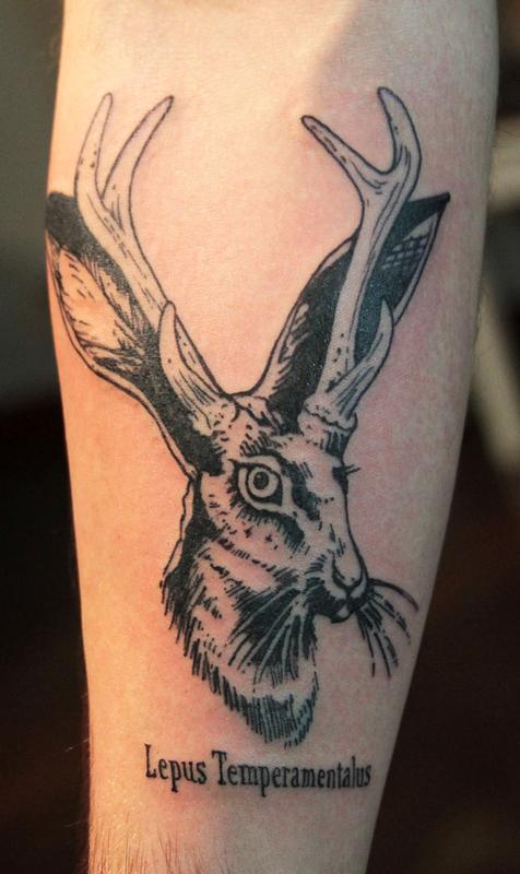 Assassin Tattoo Studio  Jackalope by Rich richierichtattoo    tattoo  tattoos tattooing tattooshop tattooartist besttattoos bodyart  assassintattoo assassintattoos assassintattoostudio akrontattoos akron  tattooideas tattoogoals 