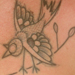 Tattoos - Birdy - 28746