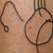 Tattoos - Organikal - 28752