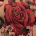 Tattoos - Rose - 95248