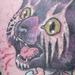 Tattoos - Kitten Tattoo - 53268