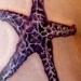 Tattoos - Starfish Tattoo - 51752