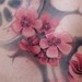 Tattoos - Cherry blossom back - 36337