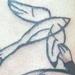 Tattoos - Black and Grey Bird Tattoo - 60480