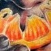 Tattoos - orange peel tattoo - 49749