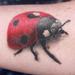 Tattoos - Color Ladybug Tattoo - 60514