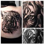 Tattoos - Portrait of a tiger - 119142
