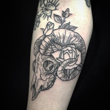 Tattoos - Ram Skull - 108726