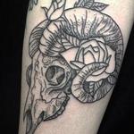 Tattoos - Ram Skull - 108726