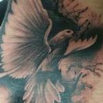 Tattoos - Dove - 111700